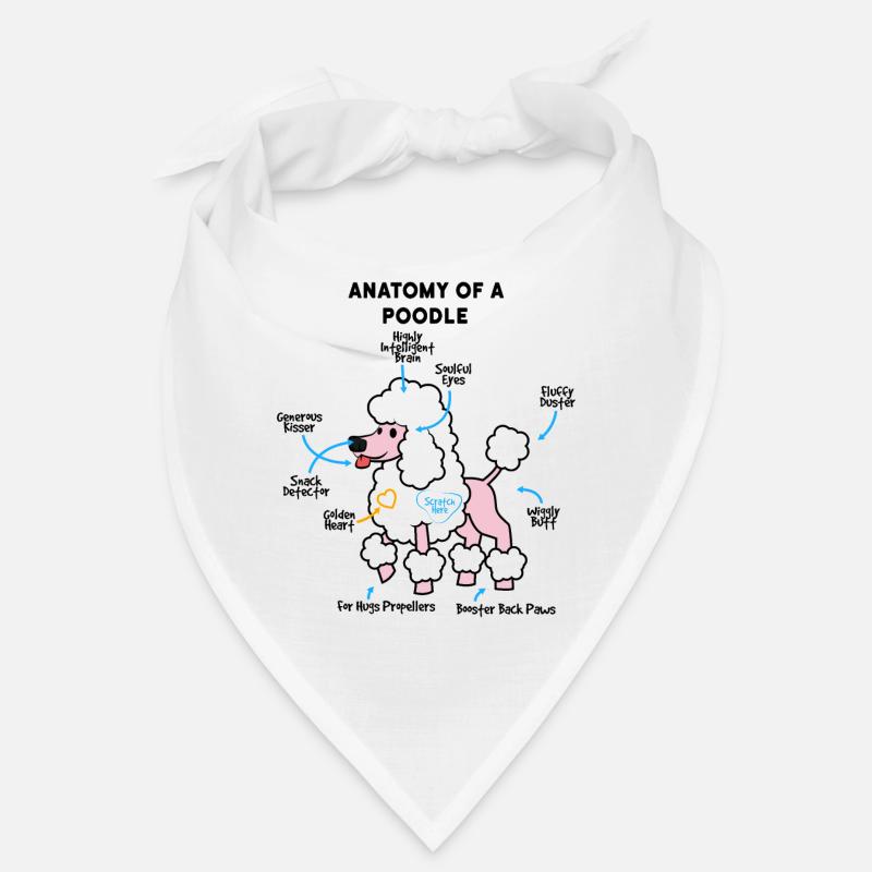 Anatomie d’un caniche Bandana
