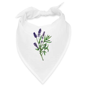 Echter Lavendel, Lavandula angustifolia - Bandana - Weiß - Vorne