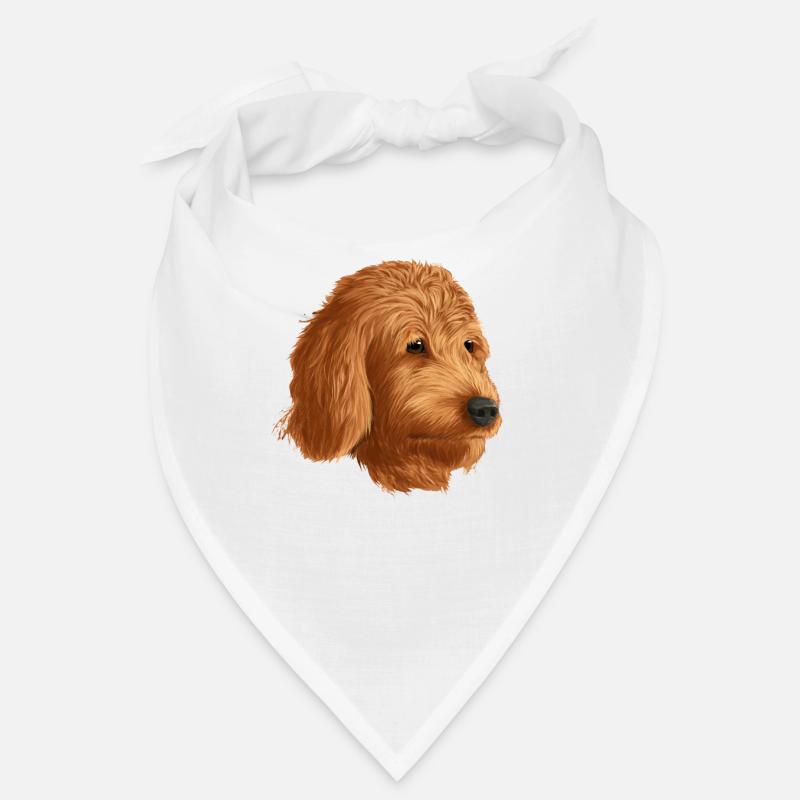 Goldendoodle chien Bandana
