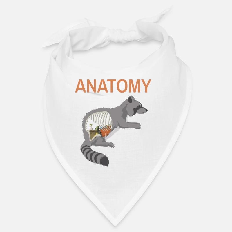 Instructions anatomie raton laveur Bandana