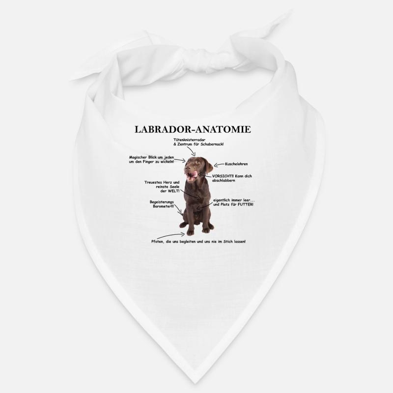 Anatomie eines Labradors Erklärungsbild Bandana