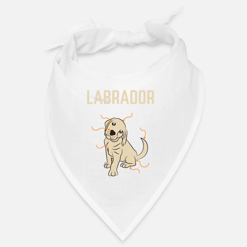 Anatomie Labrador Bandana