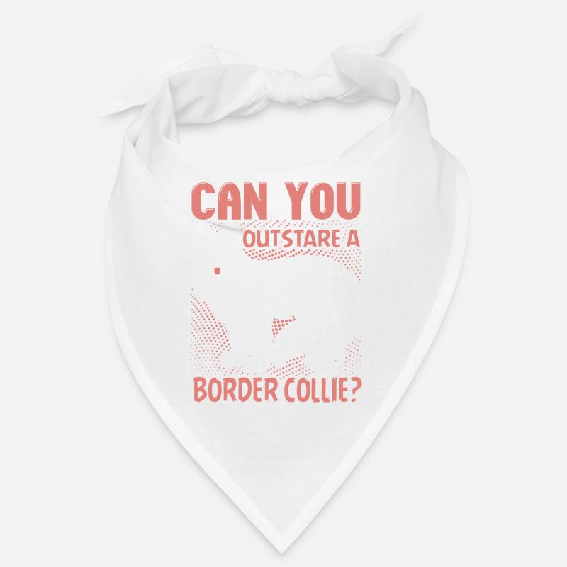 Pouvez-vous devancer un Border Collie Bandana