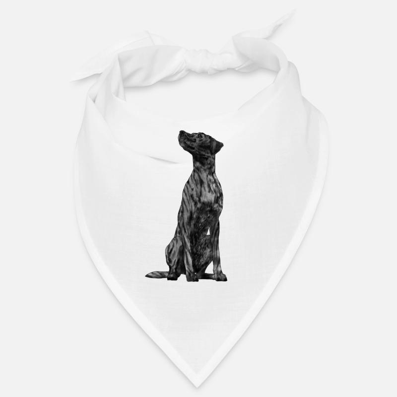 Sitzender Plott Hound Hund Bandana