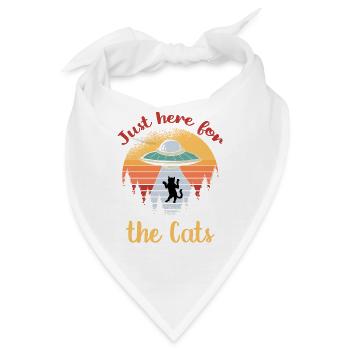 Alien Ufo Space Katzen Katze Kitties Kitten Aliens - Bandana - Weiß - Vorne