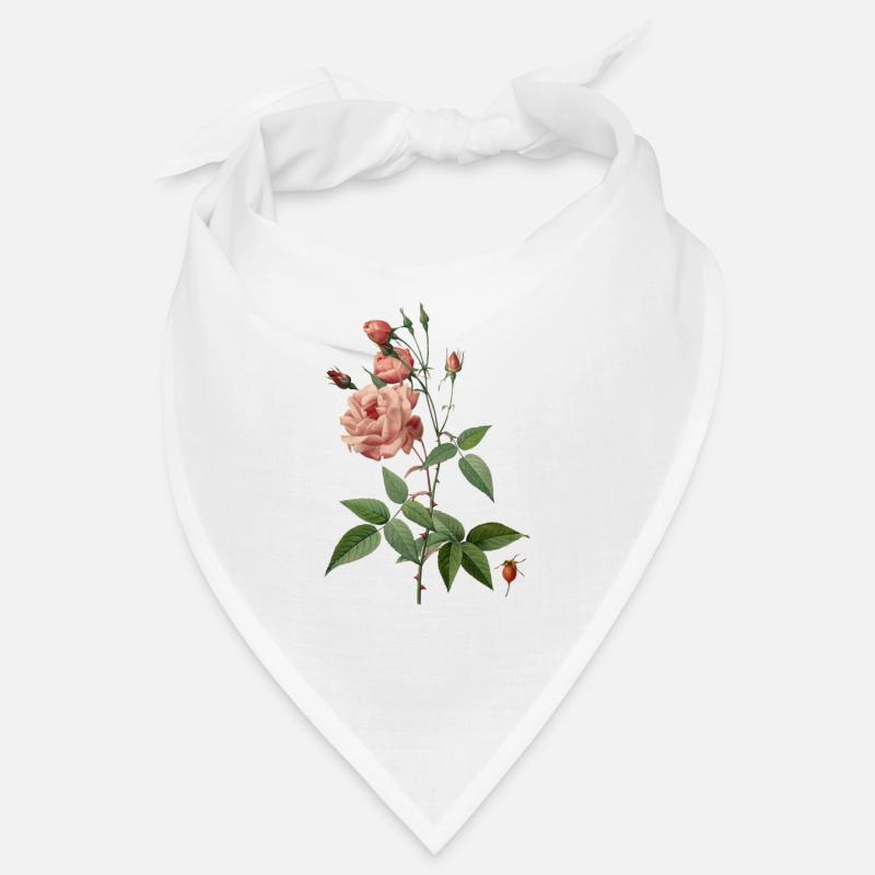 China Rose vintage botanical drawing Bandana