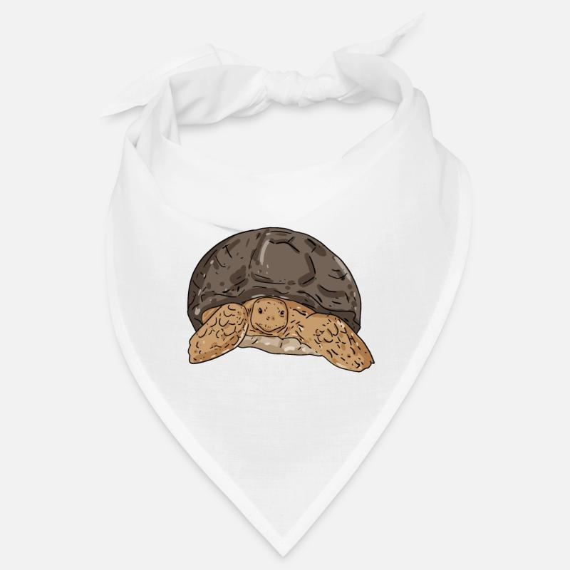 turtle Bandana