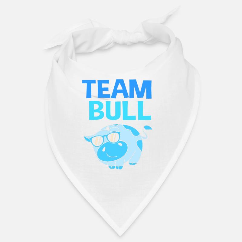 Schwangerschaft Team Jungs Bandana