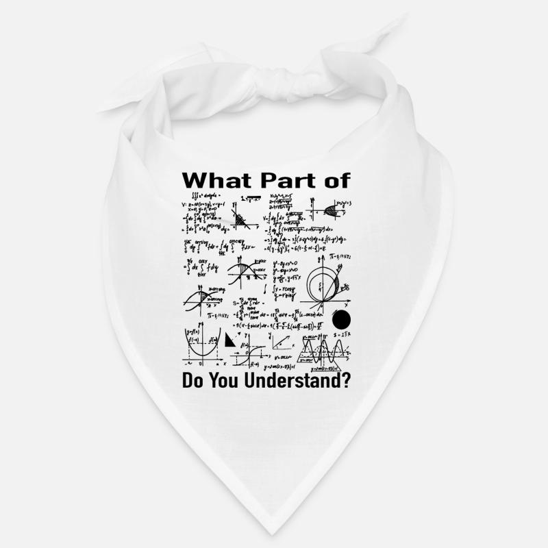 Mathematics Teacher Gift - Math Formulas Bandana
