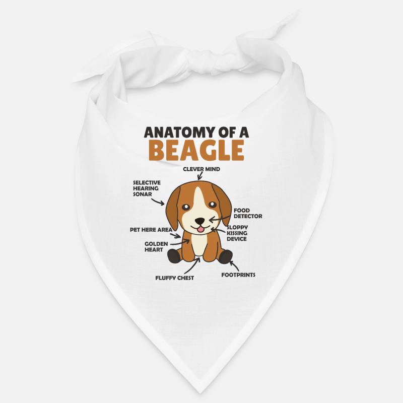 Anatomie d’un chien mignon beagle chiot Bandana
