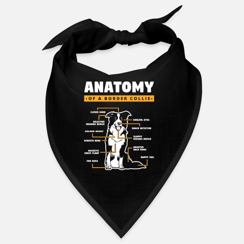Anatomie Eines Border Collies Bandana