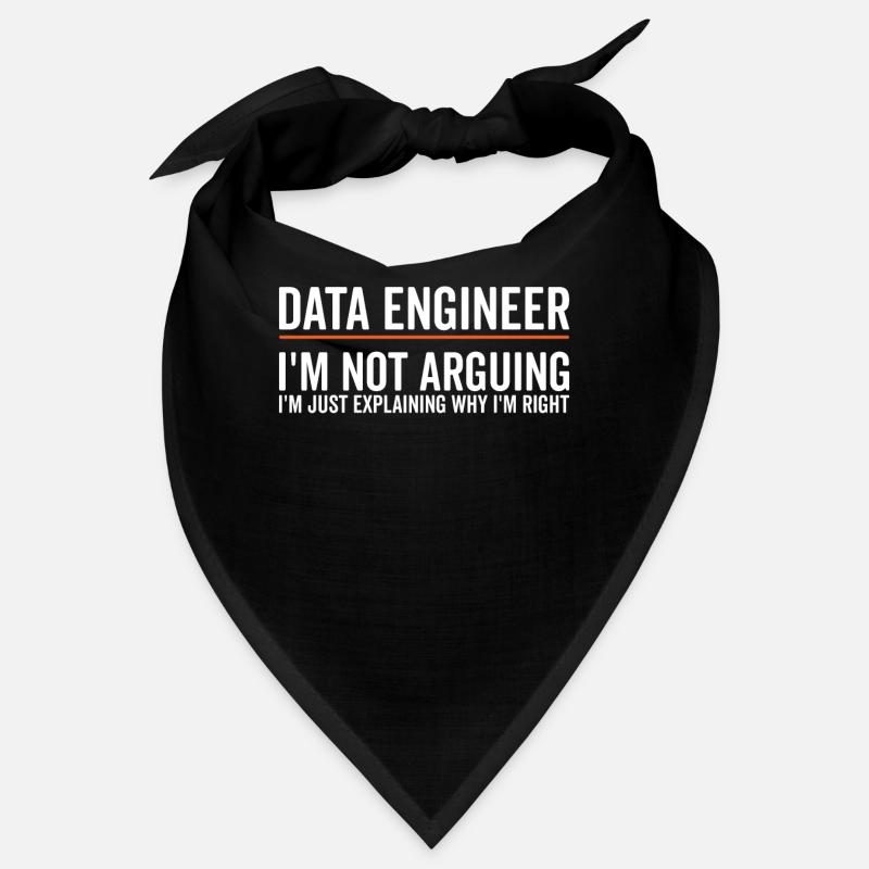 Just Explaining - Dateningenieur Bandana