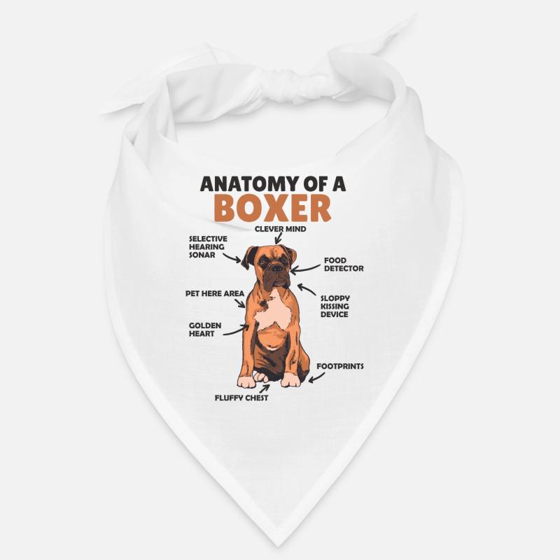 Anatomie d’un boxeur mignon chiot chien Bandana
