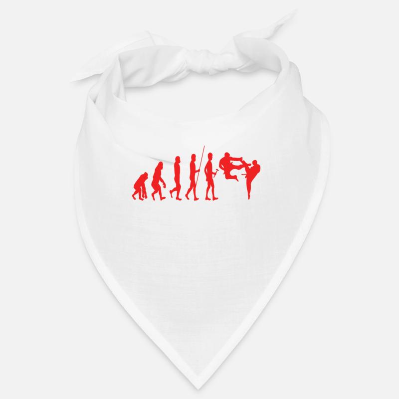 Évolution du karaté Bandana