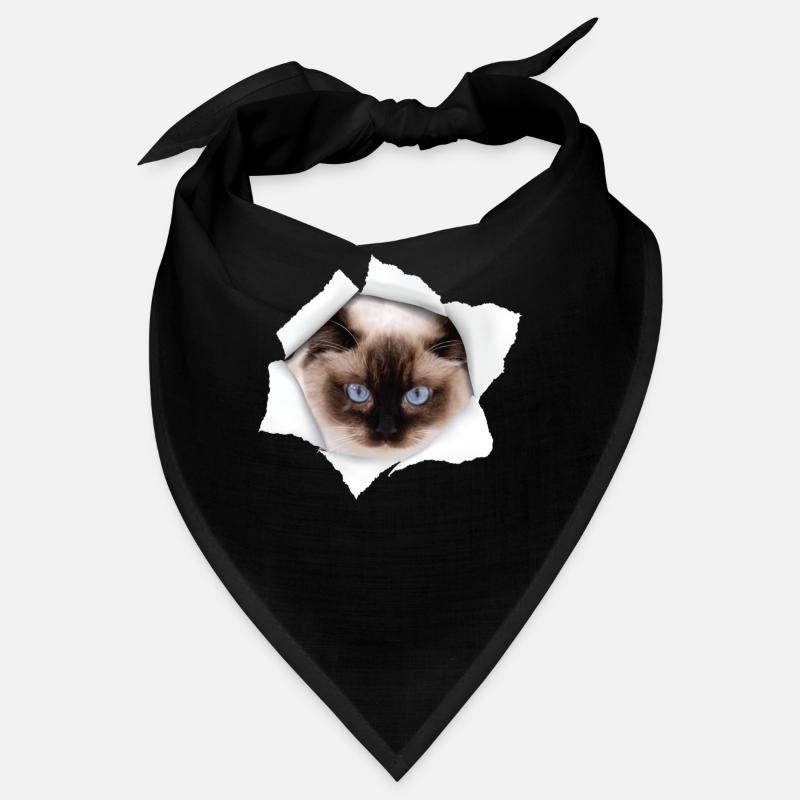 Beau chat déchiré - Ragdoll Cat Bandana