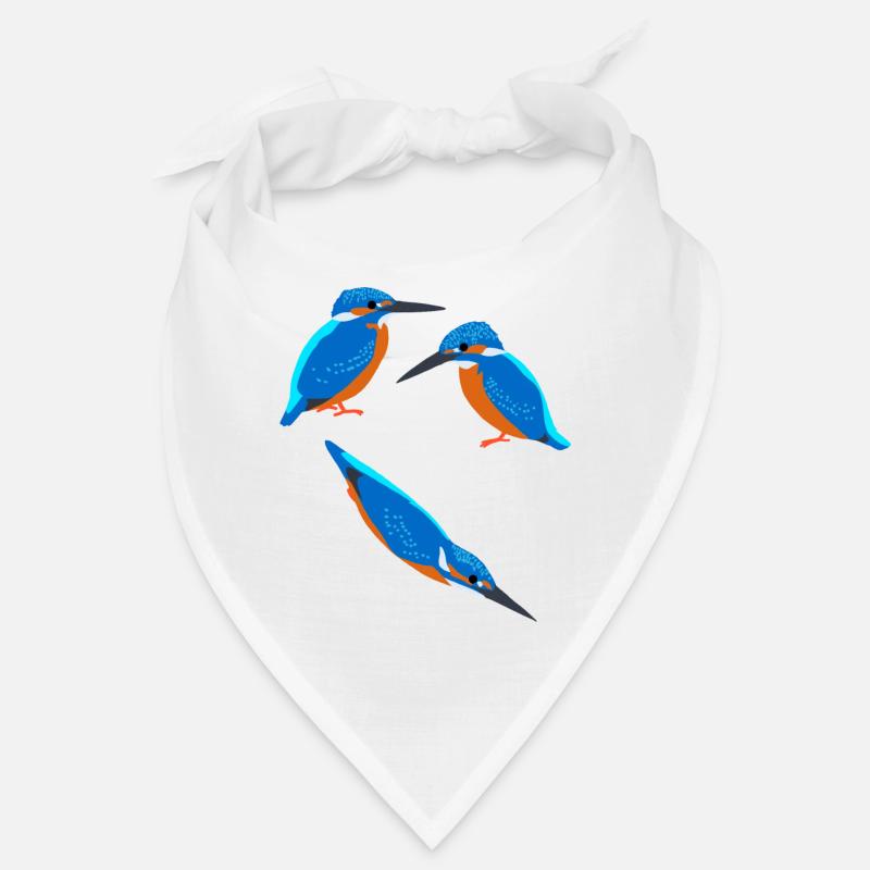 Oiseaux Martin-pêcheur Bandana