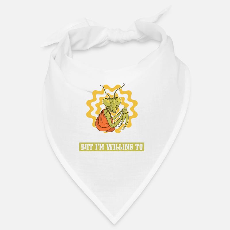 Kung Fu Bandana