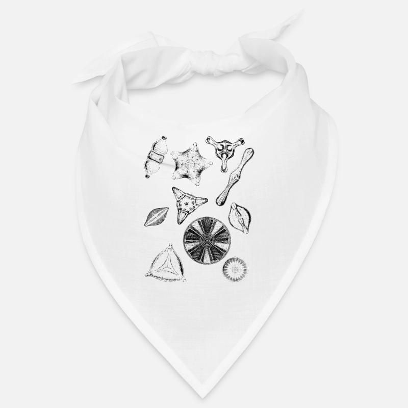 diatoms, algae diatom Bandana