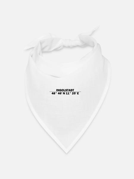 Ingolstadt Coordinates - Bandana - white - Front