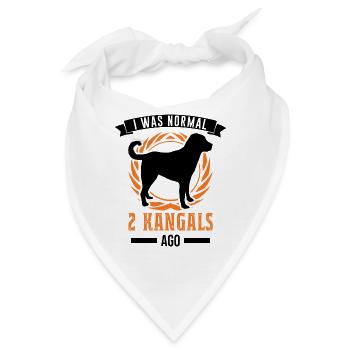 2 Kangal Anatolischer Hirtenhund Kangal - Bandana - Weiß - Vorne