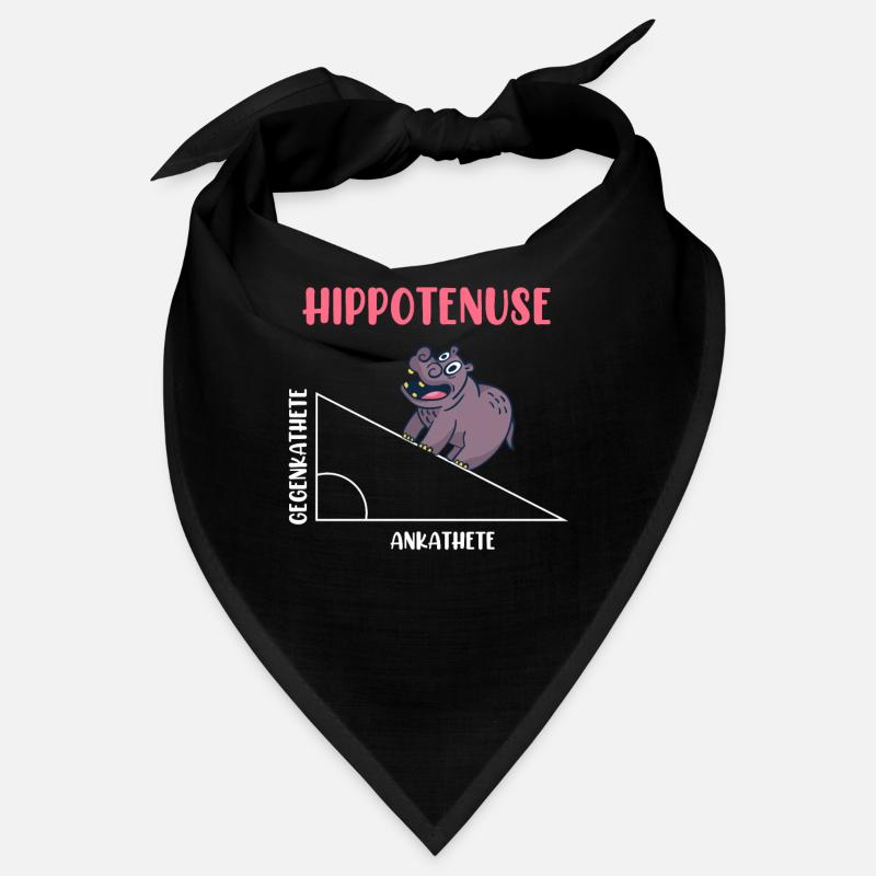 Hippotenuse Algebra Mathematics Student Bandana