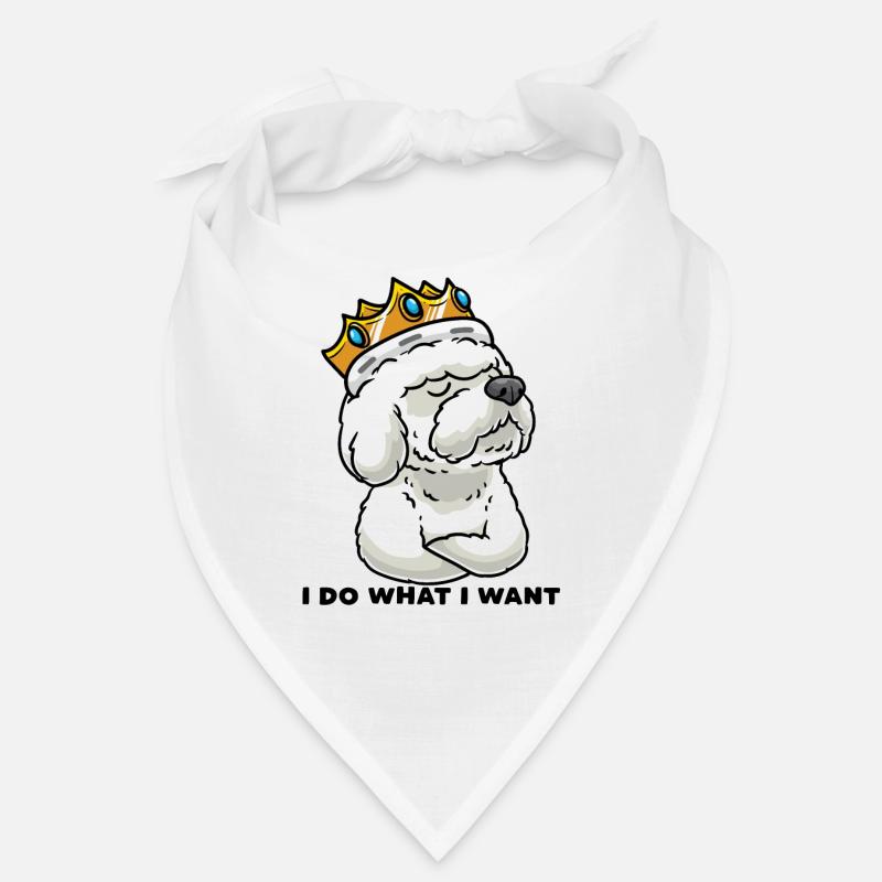 Stur Bichon Frisé Hund Gelockter Bichon Bandana