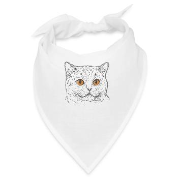 Britisch Kurzhaar Katze mit Kupfer Augen - Bandana - Weiß - Vorne