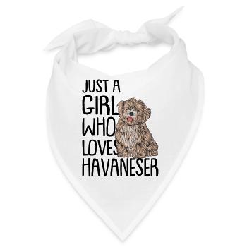 Havaneser - Bandana - Weiß - Vorne