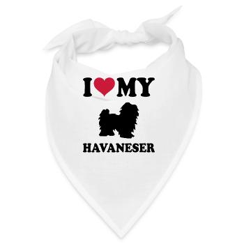 Havaneser - Bandana - Weiß - Vorne