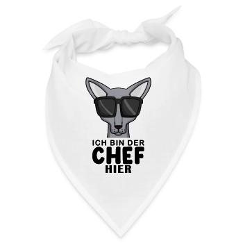 coole Katze - Sphynx Katze Spruch - Bandana - Weiß - Vorne