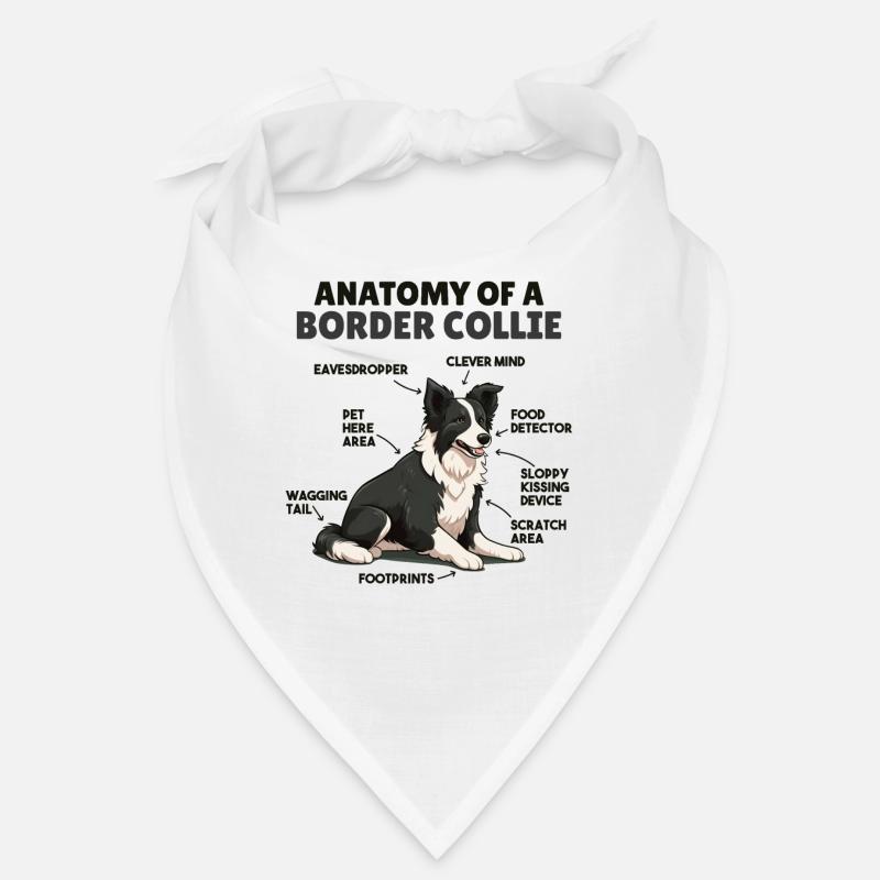 Explication du chien Anatomie d’un Border Collie Bandana