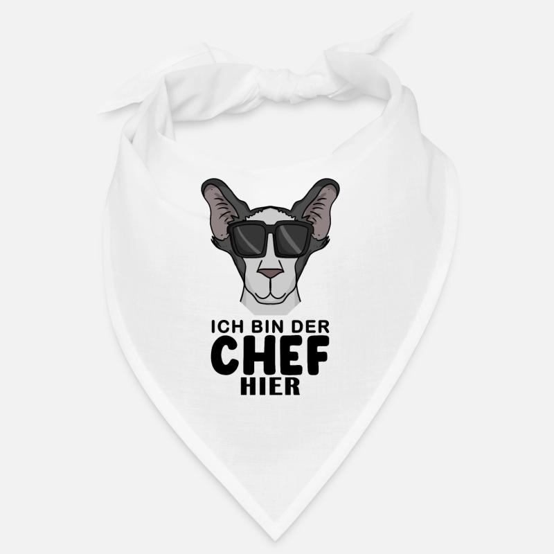 coole Katze - Orientalisch Kurzhaar Katze - Chef Bandana