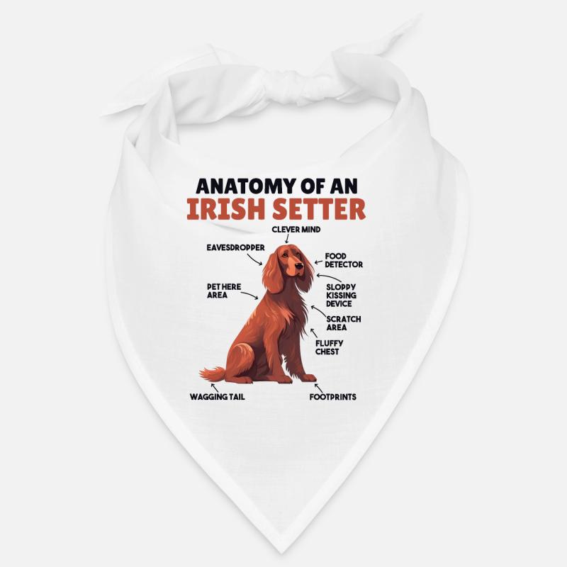 Explication du chien Anatomie d’un setter irlandais Bandana