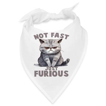 Not Fat just Furious - Bandana - Weiß - Vorne