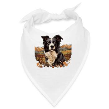 Hund Border Collie - Bandana - Weiß - Vorne