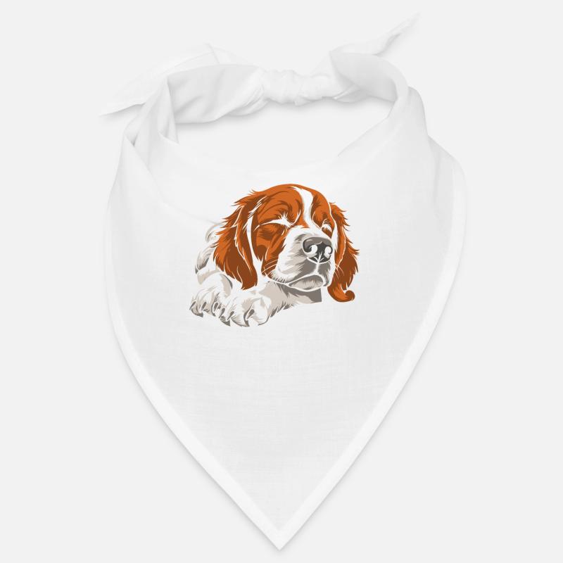 Épagneul breton Bandana