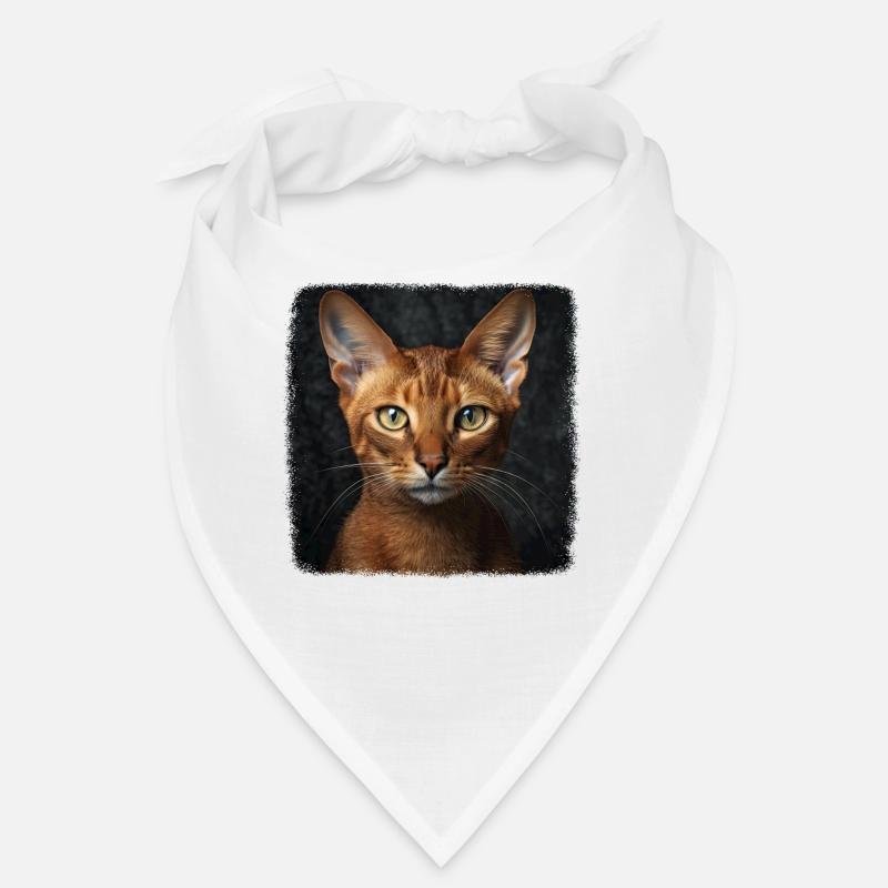 Chat d’Abyssinie Abessinierkatze Bandana