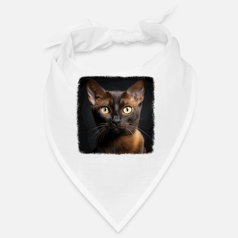 Chat birman Birmanie Katze Bandana