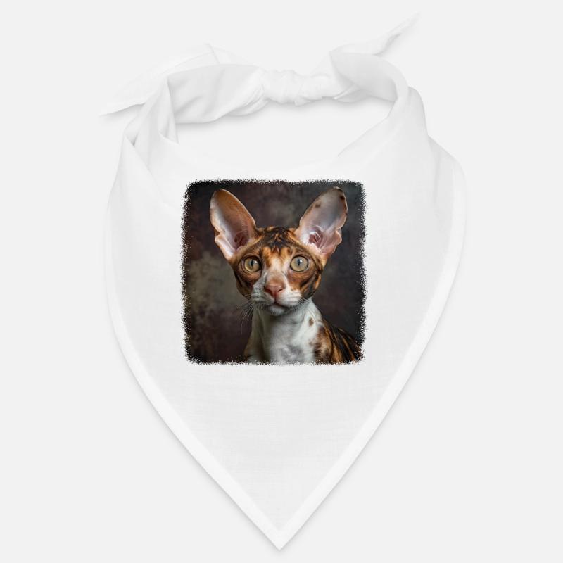Chaton Cornish Rex Chat Cornish Rex Bandana