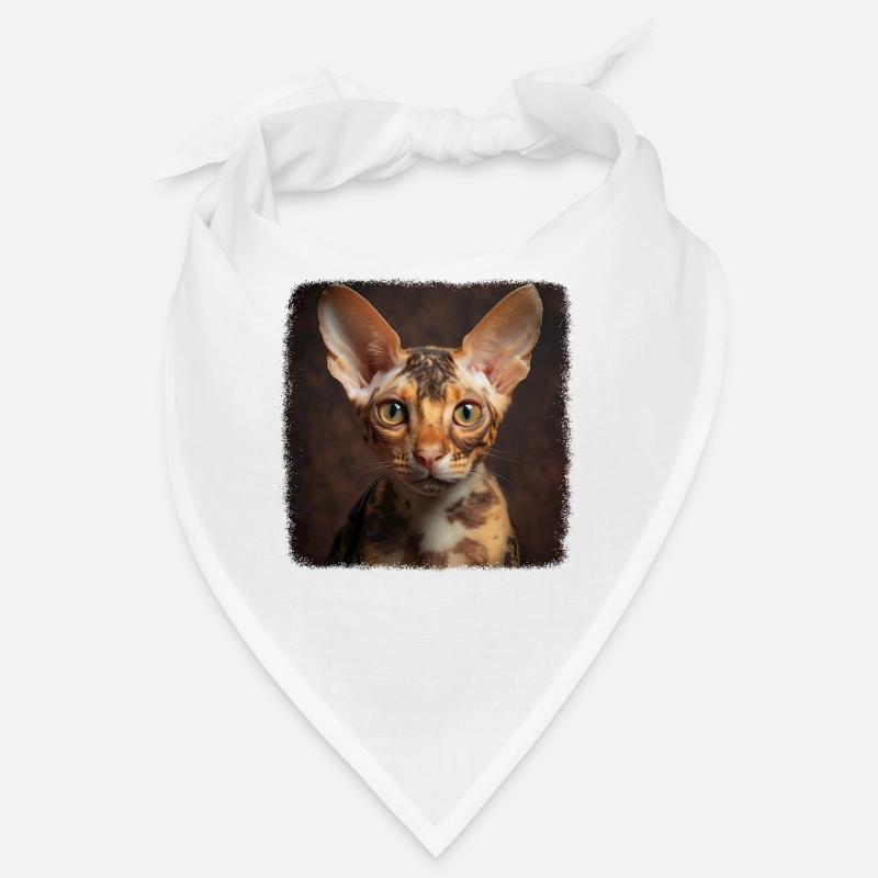 Cornish Rex Kätzchen Cornish Rex Katze Bandana