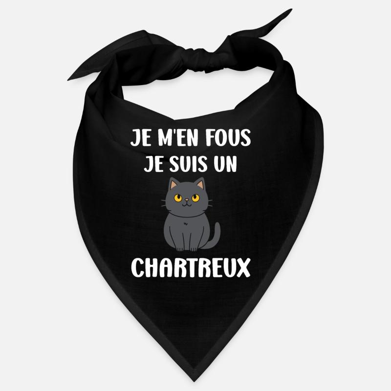 Humour chat chartreux Bandana