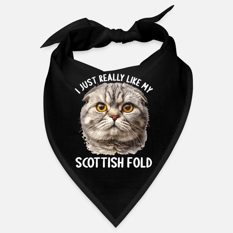 Scottish Fold Kitten Scottish Fold chat Bandana