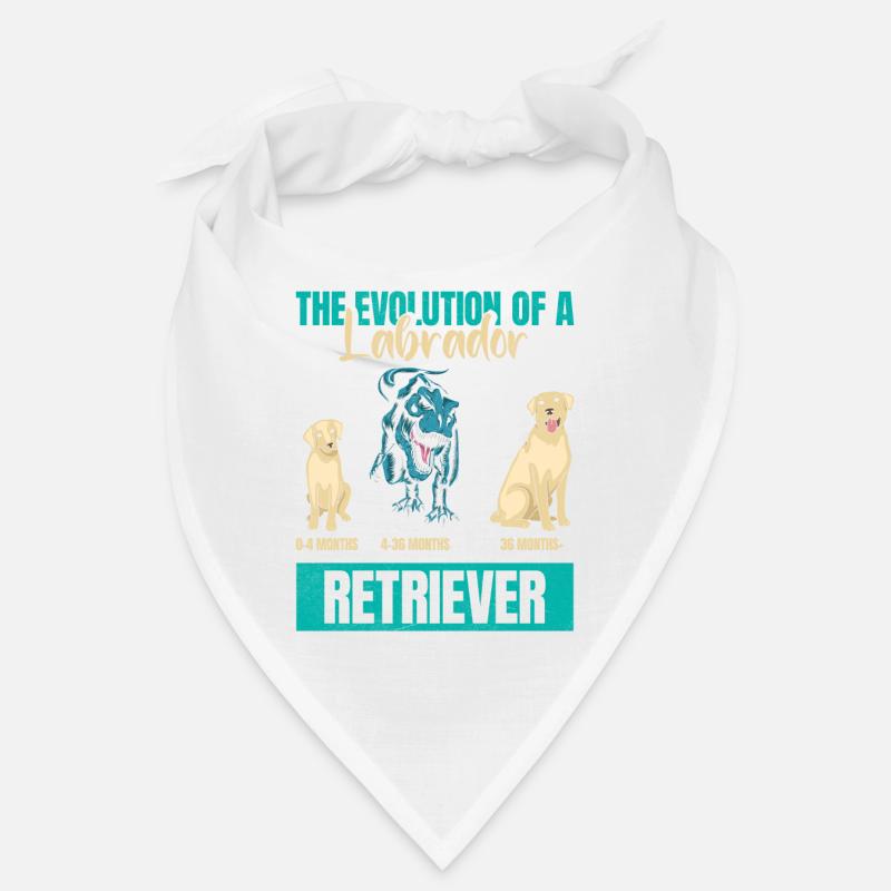 EVOLUTION OF A LABRADOR RETRIEVER owner Bandana