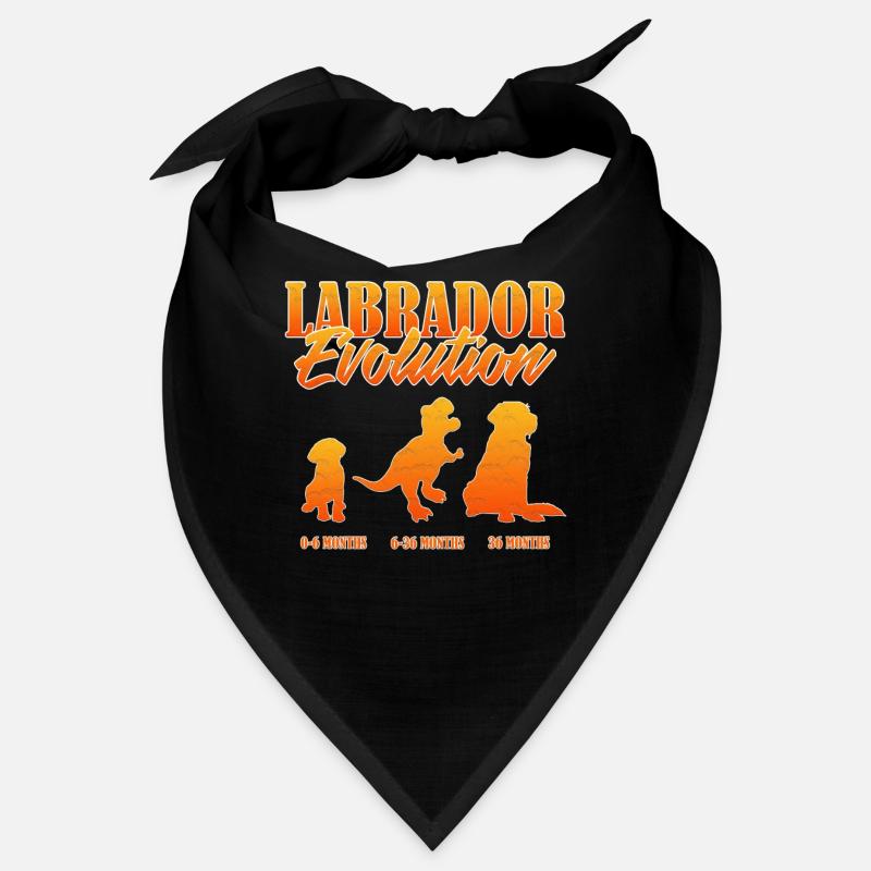 LABRADOR EVOLUTION Labrador Besitzer Lustiges Bandana