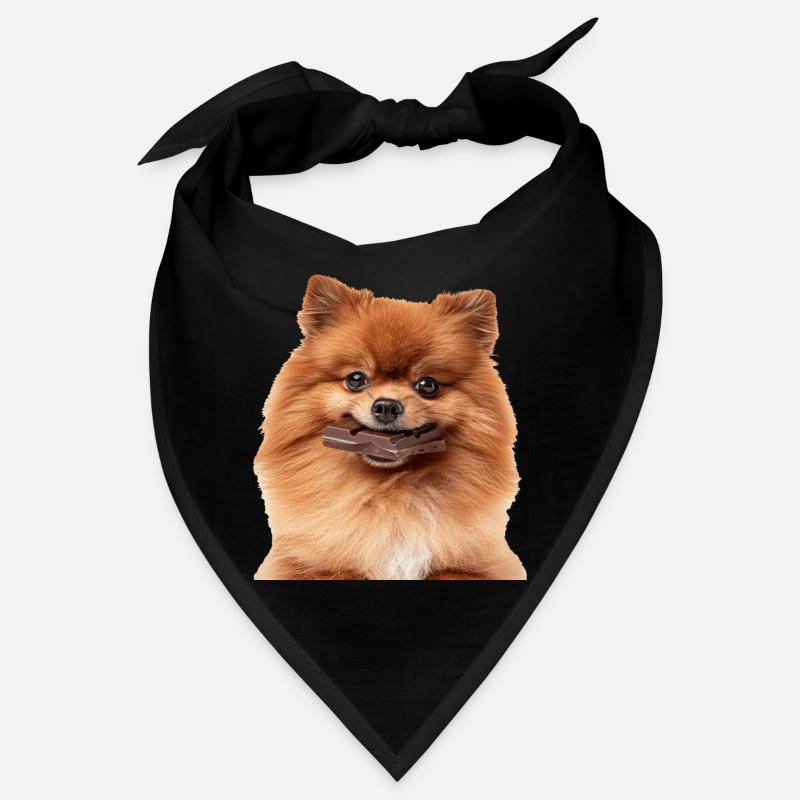 Dwarf spitz Bandana