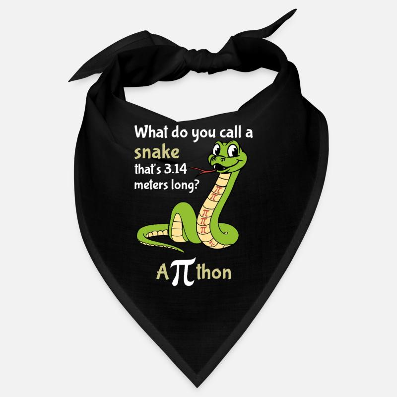 Comment appelle-t-on une balise Snake Pi Bandana
