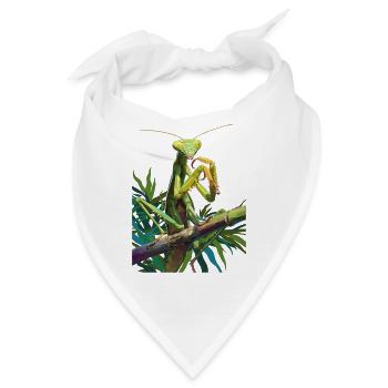 Gottesanbeterinnenen Gottesanbeterin - Bandana - Weiß - Vorne