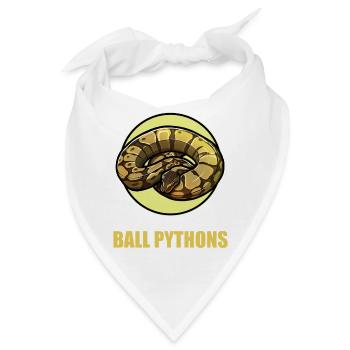Ball Python Königspythons Königspython - Bandana - Weiß - Vorne