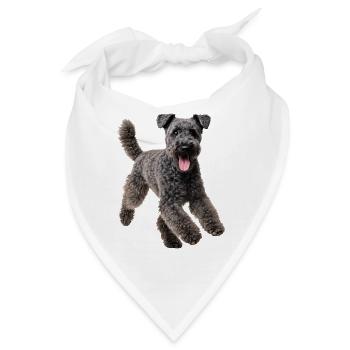Kerry Blue - Bandana - Weiß - Vorne