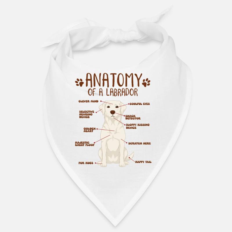 Anatomie eines white Labradors Bandana